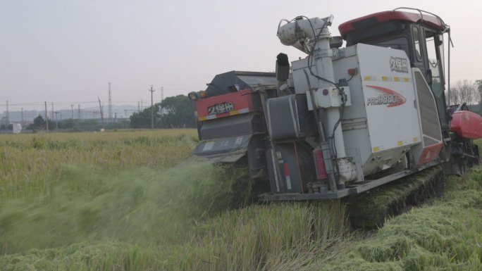 南方 农场 水稻收割机 农村 收获