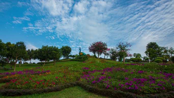 69-南城延时-植物园风景