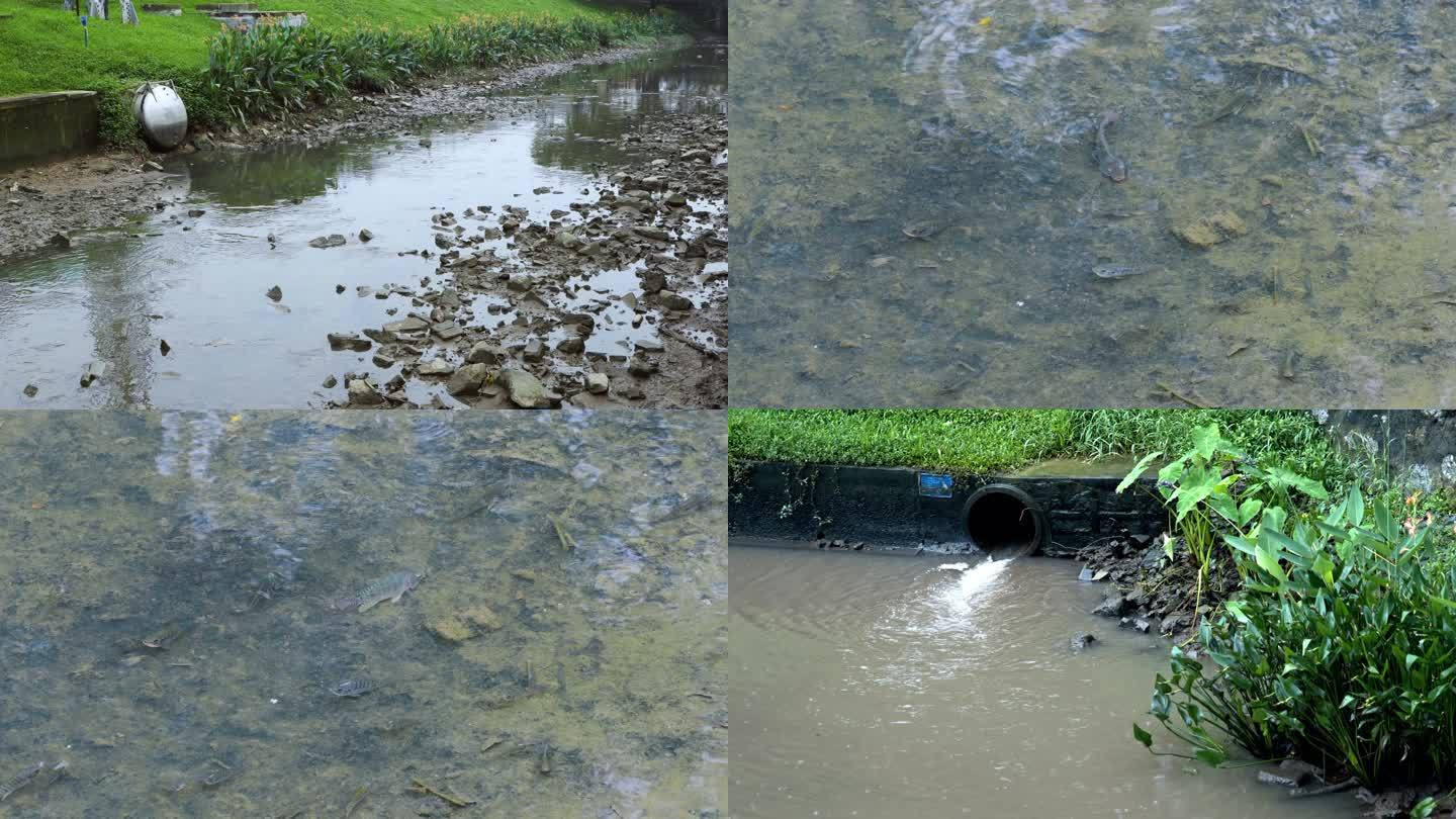 河涌治理后的环境改善水质变好