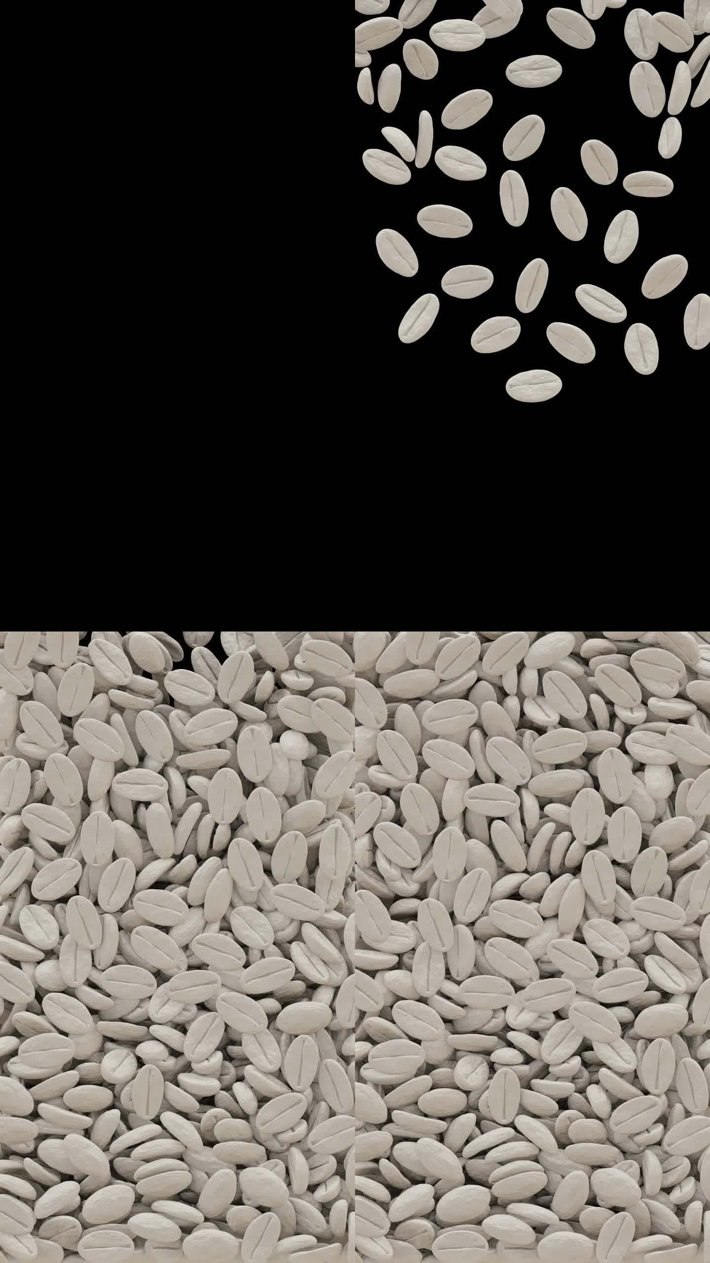 白咖啡豆肖像垂直视频动画幕布过渡效果透明背景Alpha通道
