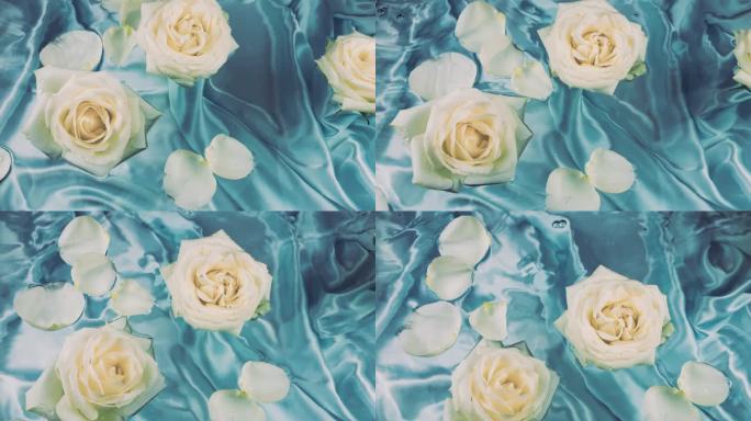 白色玫瑰的花朵和花瓣漂浮在蓝色丝绸背景上的水面上。