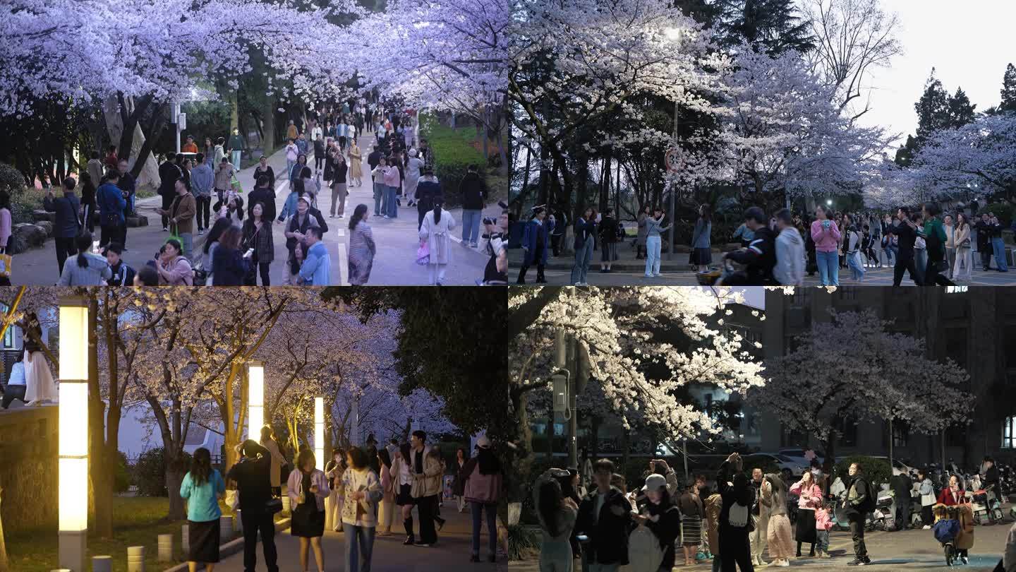 武汉大学唯美樱花夜景视频素材