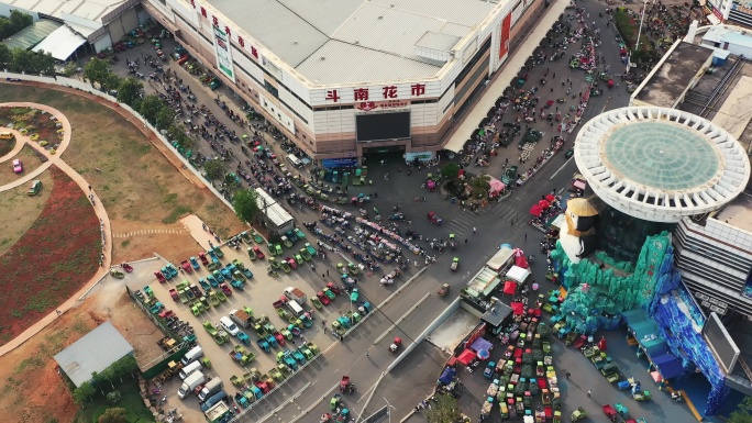 昆明斗南花卉交易市场