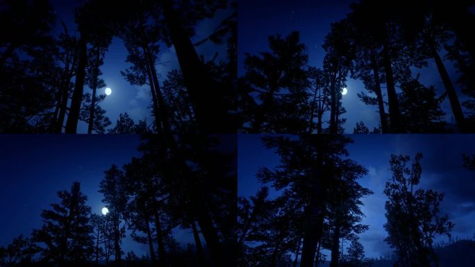 树林 月光 幽暗森林
