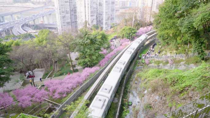 重庆开往春天的列车