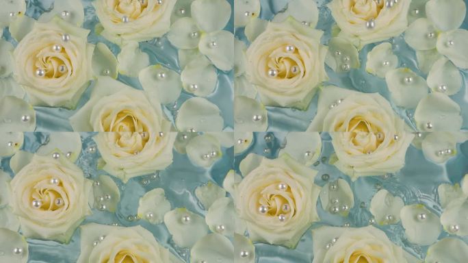 珍珠落在奢华的浅蓝色花朵和漂浮在水面上的白色玫瑰花瓣的背景上。缓慢的运动。