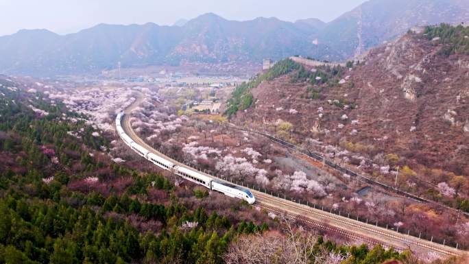 北京昌平居庸关长城花海列车开往春天的列车