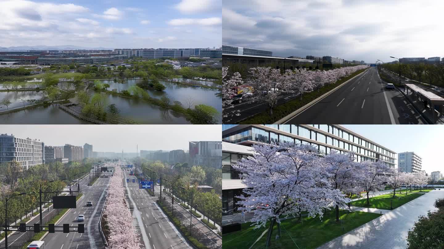（合集）杭州未来科技城阿里巴巴文一西路