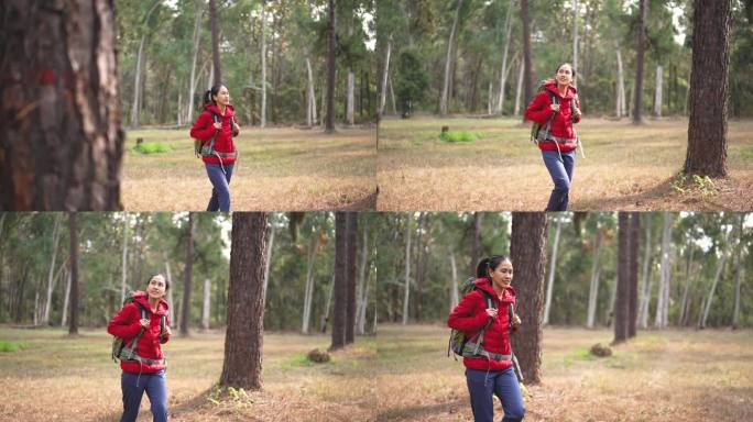 女徒步旅行者在松树林中徒步旅行