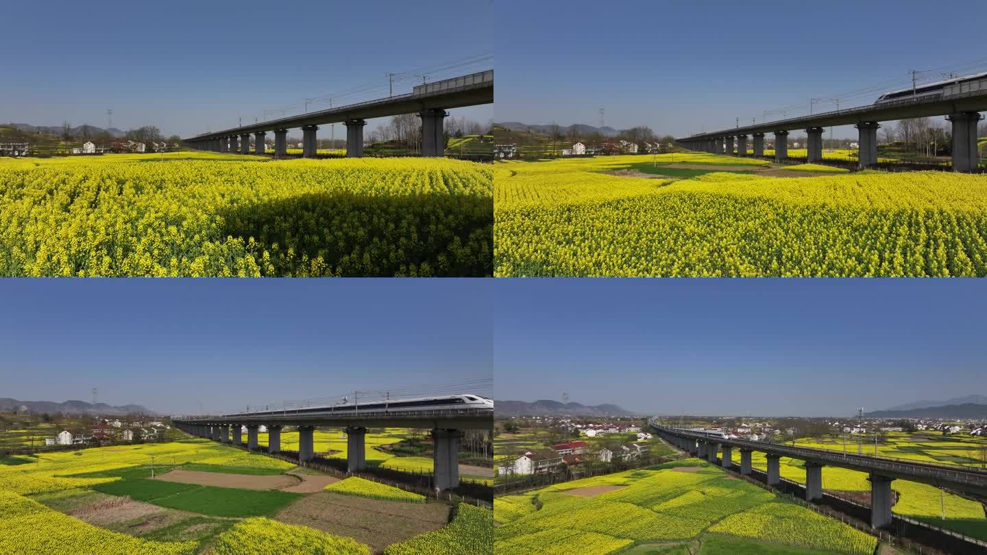 油菜花火车开往春天的列车运输发展乡村振兴