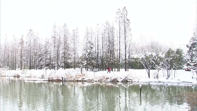 公园雪景 白雪 树木 结冰水面 雪后河面