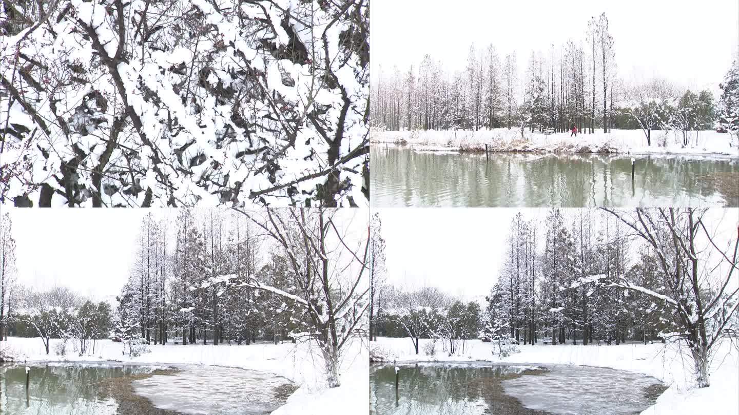 公园雪景 白雪 树木 结冰水面 雪后河面