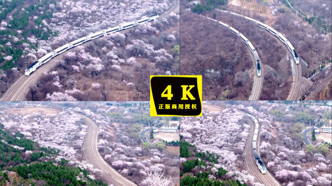 4K北京居庸关花海列车