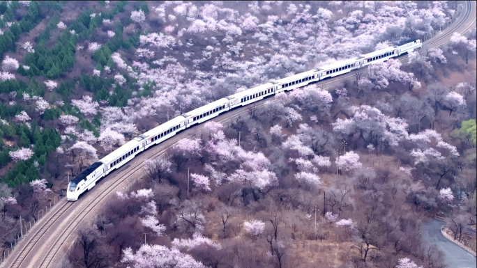 4K北京居庸关花海列车