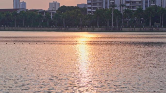 夕阳下湖水波光波光粼粼