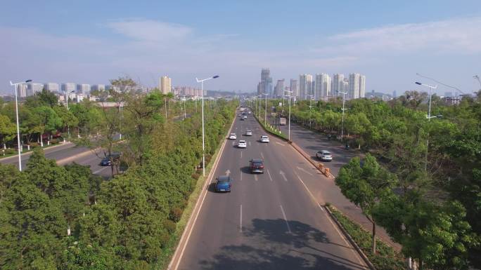 城市道路交通车流