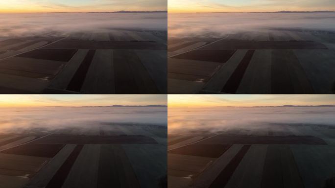 无人机拍摄雾在农村农田景观移动在日出