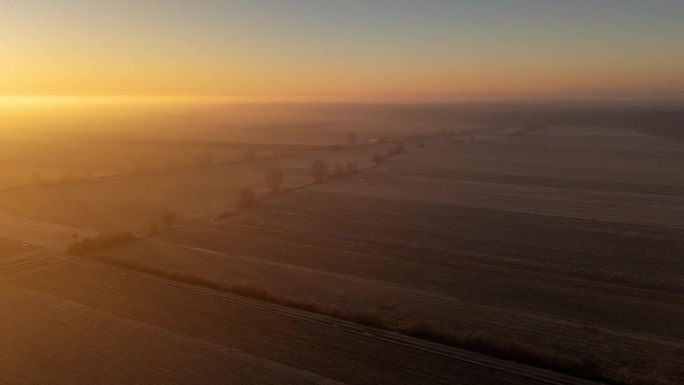 无人机在日出时拍摄冬季农田作物上的雾