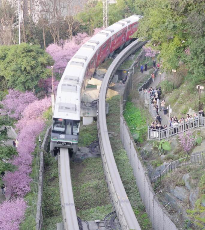 重庆开往春天的列车