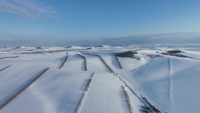 呼伦贝尔丘陵农田雪景防风林带