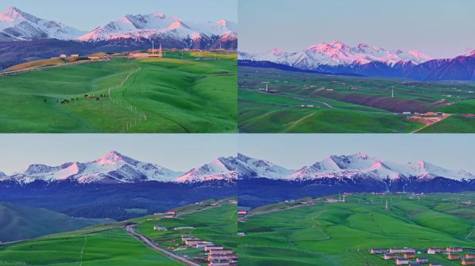 新疆治愈系风景雪山下的草原牧场