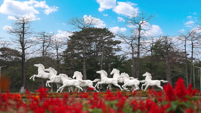 松山湖风景-八匹马2 骏马奔腾