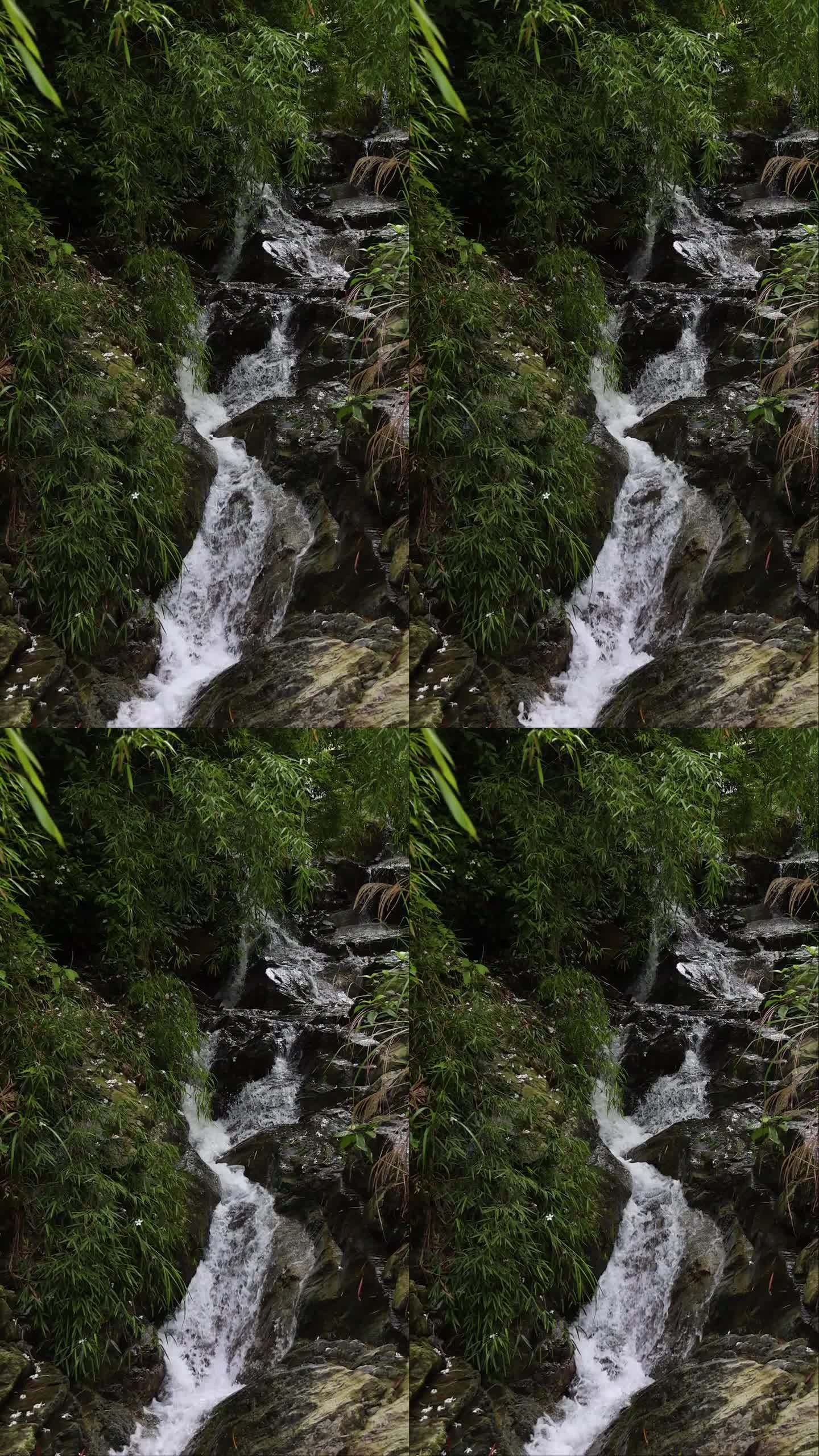 幽静山林中的山溪流水