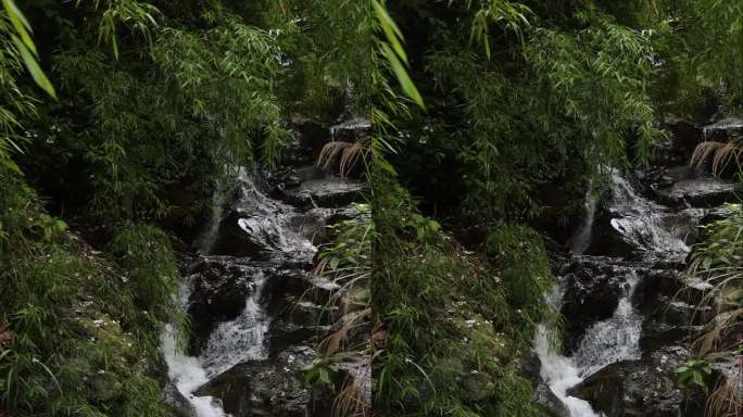 幽静山林中的山溪流水