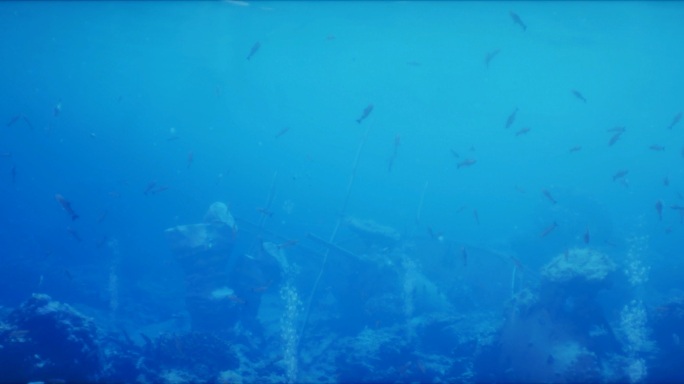 循环明亮蓝色鱼群游荡氛围海底世界