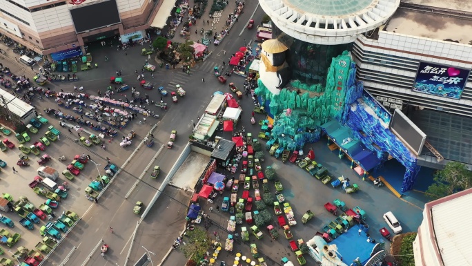 昆明斗南花卉交易市场