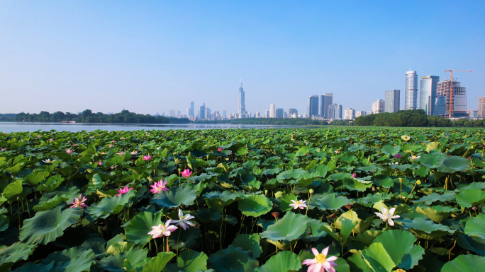 南京城市宣传片