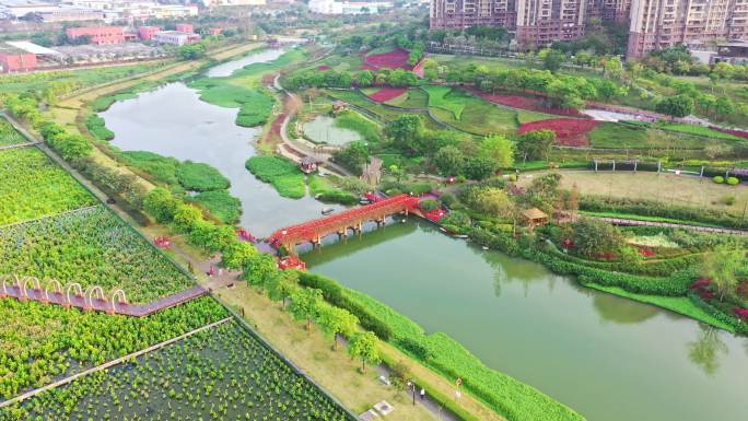 航拍南宁那考河湿地公园