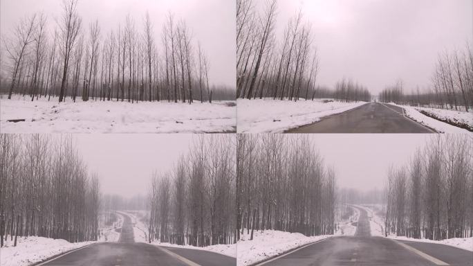 冬季农村 下雪 雪天 树林 积雪 马路
