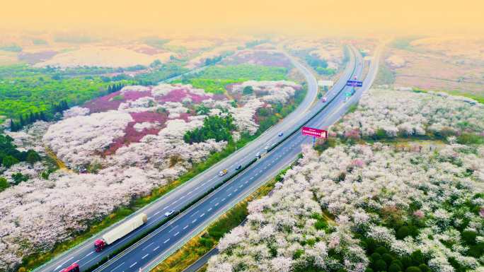 最美高速-航拍春天两边开满鲜花的高速公路