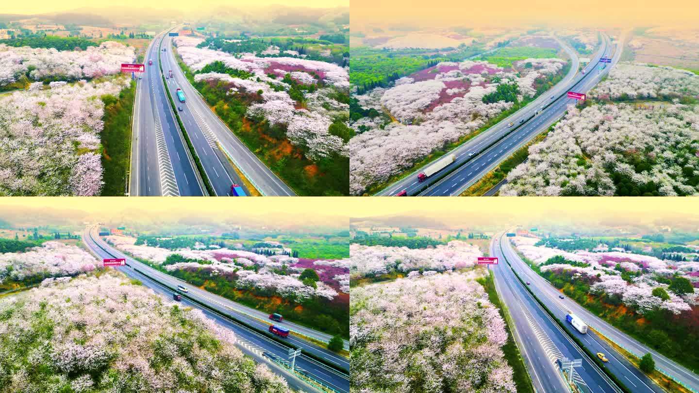 最美高速-航拍春天两边开满鲜花的高速公路