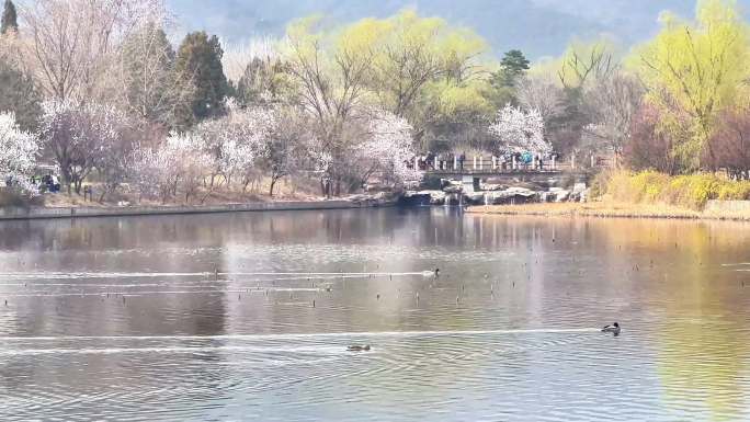 北京国家植物园景观