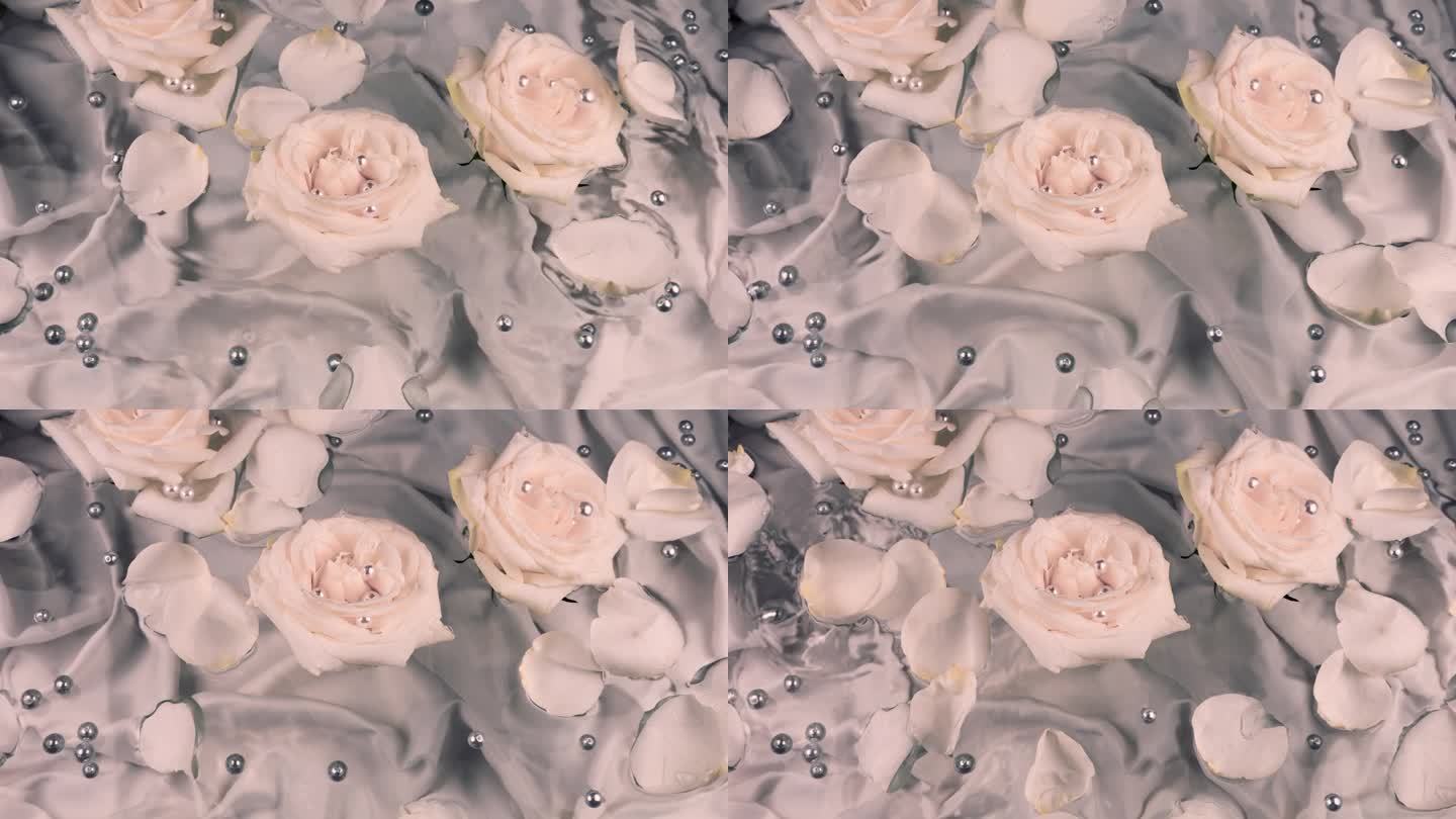 玫瑰花瓣落在水面与玫瑰花和珍珠。背景灰粉色柔和的颜色。