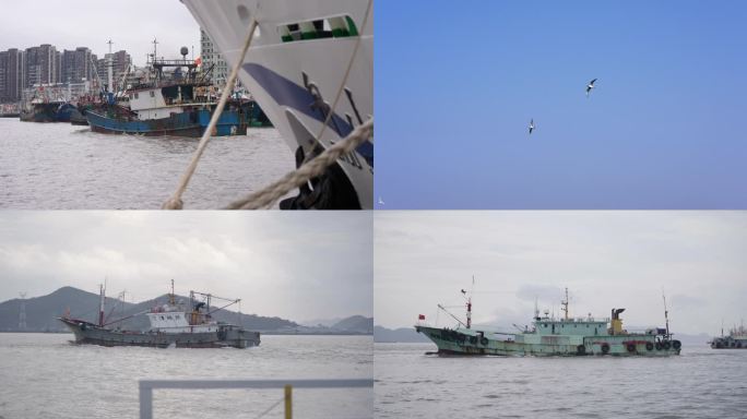 舟山码头轮船、海鸥