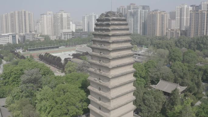 小雁塔 LOG灰度模式 航拍夏天