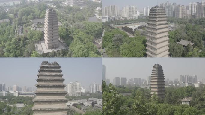 小雁塔 LOG灰度模式 航拍夏天