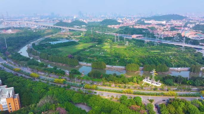 广州黄埔区长洲岛大学城航拍广东城市风景风