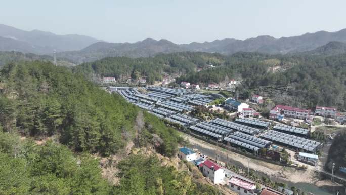 航拍太平石斛基地