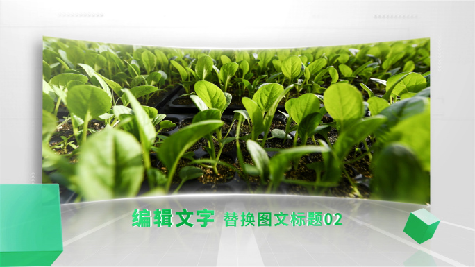 清新绿色生态农业图文包装单张照片展示AE
