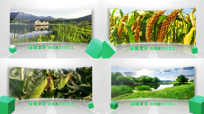 清新绿色生态农业图文包装单张照片展示AE