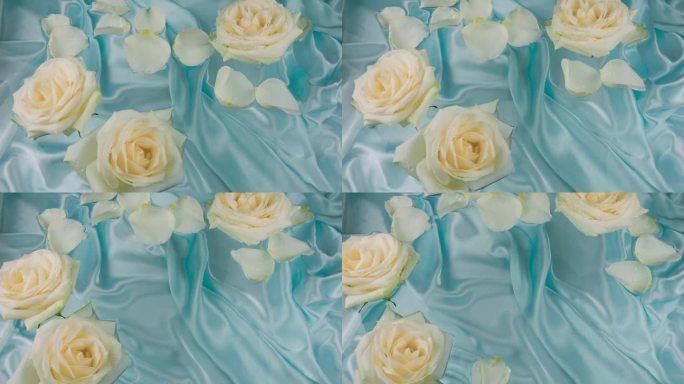 白色玫瑰的花朵和花瓣漂浮在蓝色丝绸背景上的水面上。