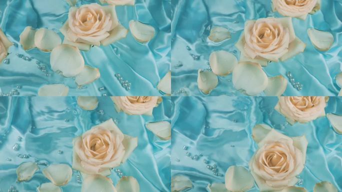 白色和粉色玫瑰的花朵和花瓣漂浮在水面上，蓝色的丝绸背景和水下的珍珠。
