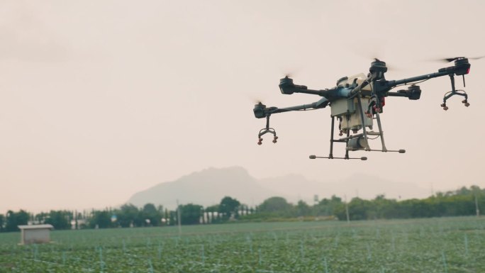 农业无人机飞到稻田上喷洒肥料