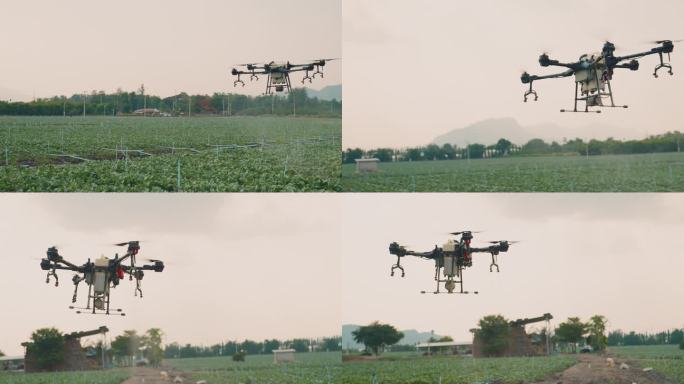 农业无人机飞到稻田上喷洒肥料