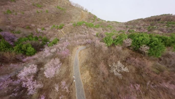 「fpv穿越机素材」穿越机素材桃花谷