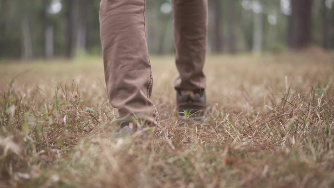 在松林的草地上行走的徒步旅行者的脚的特写